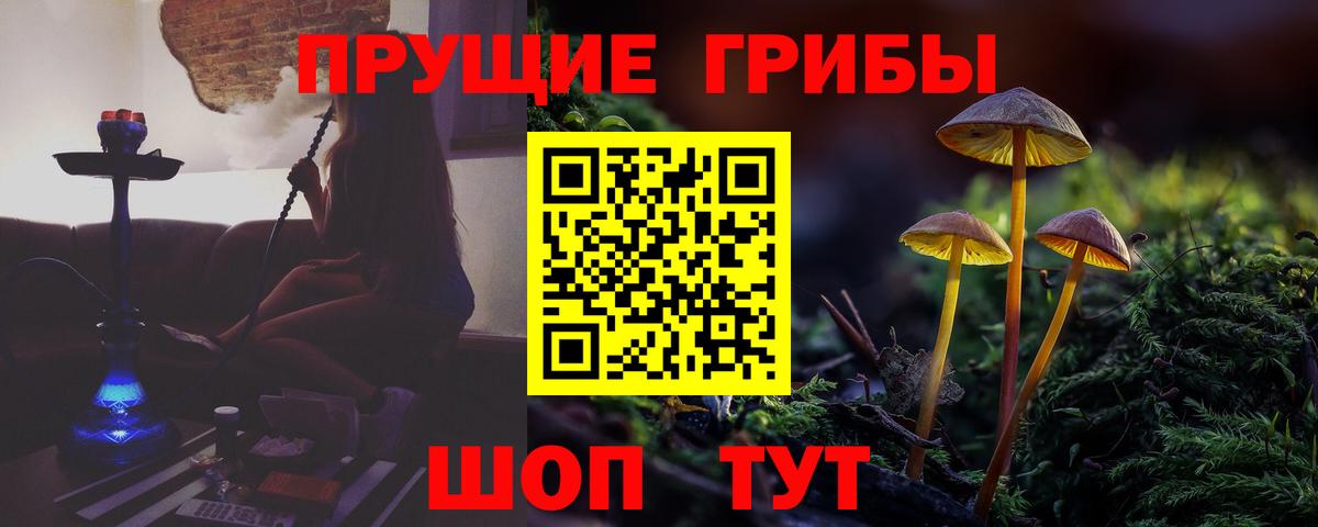 Псилоцибиновые грибы GOLDEN TEACHER Кунгур